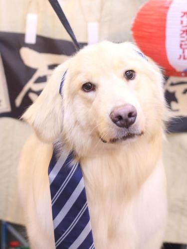 20240625ナナちゃん